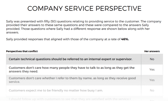 Customer Service Profile sample Company Service Perspective results
